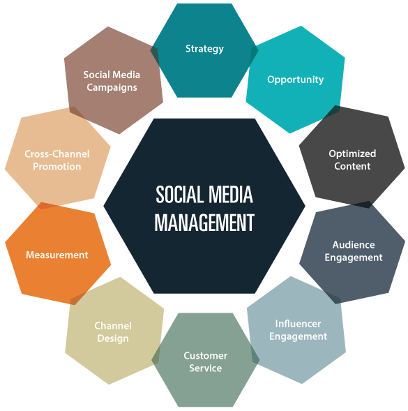 Social Media Management Services, SMM Services, Best Social Media Marketing Agency in Al Ain